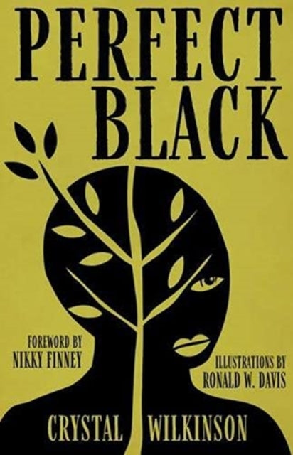 Book cover of: Perfect Black. By: Crystal Wilkinson