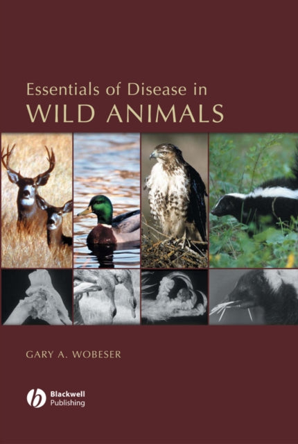 Book cover of: Essentials of Disease in Wild Animals. By: Gary A. Wobeser