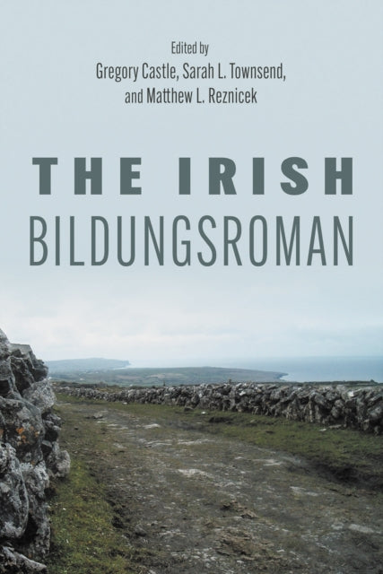Book cover of: Irish Bildungsroman. By: Gregory Castle