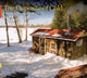 Book cover of: Opposite of Cold. By: Michael Nordskog