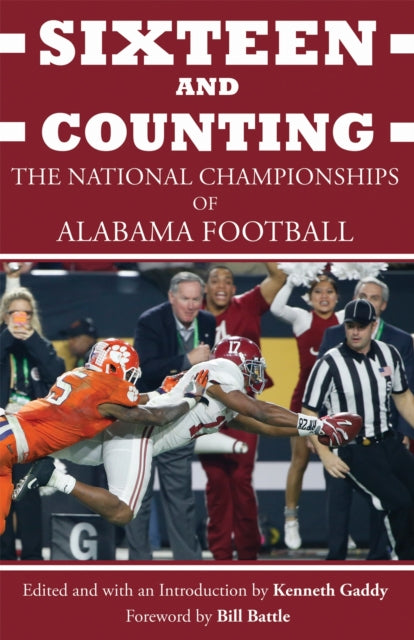 Book cover of: Sixteen and Counting