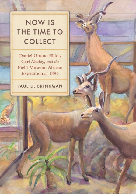 Book cover of: Now Is the Time to Collect. By: Paul D. Brinkman
