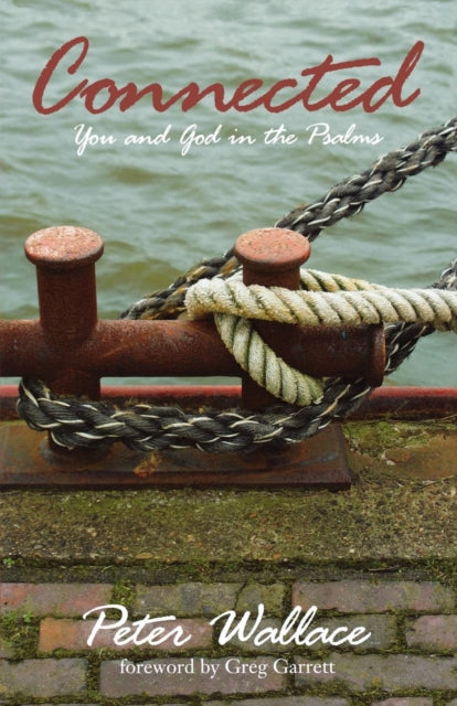 Book cover of: Connected. By: Peter M. Wallace