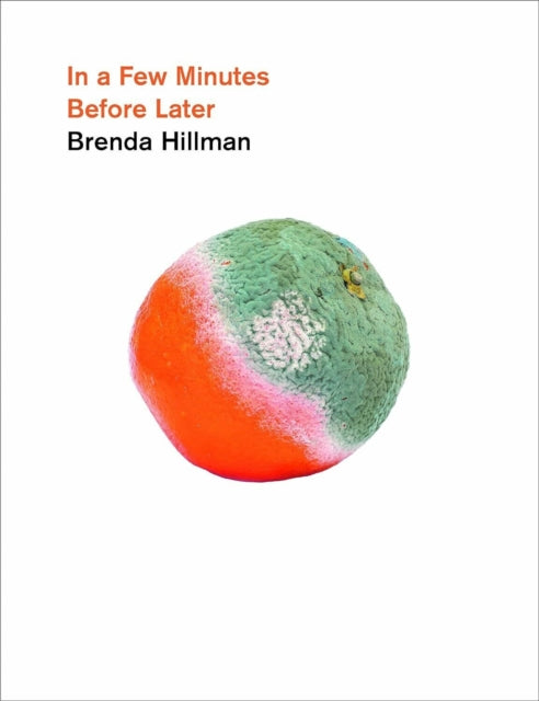 Book cover of: In a Few Minutes Before Later. By: Brenda Hillman