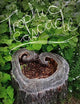 Book cover of: Trophic Cascade. By: Camille T. Dungy