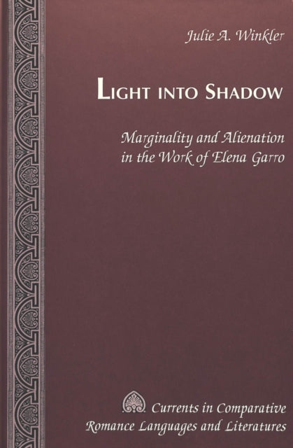 Book cover of: Light Into Shadow. By: Julie A. Winkler