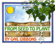 Book cover of: From Seed to Plant. By: Gail Gibbons