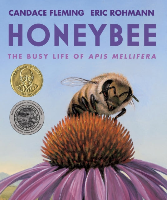Book cover of: Honeybee. By: Candace Fleming