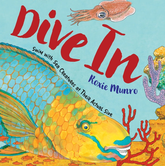 Book cover of: Dive In. By: Roxie Munro