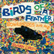 Book cover of: Birds of a Feather. By: Susan L. Roth