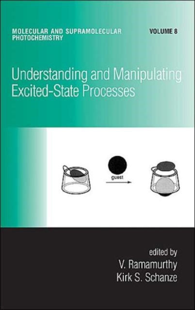 Book cover of: Understanding and Manipulating Excited-State Processes