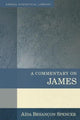 Book cover of: Commentary on James. By: Aida Besancon Spencer
