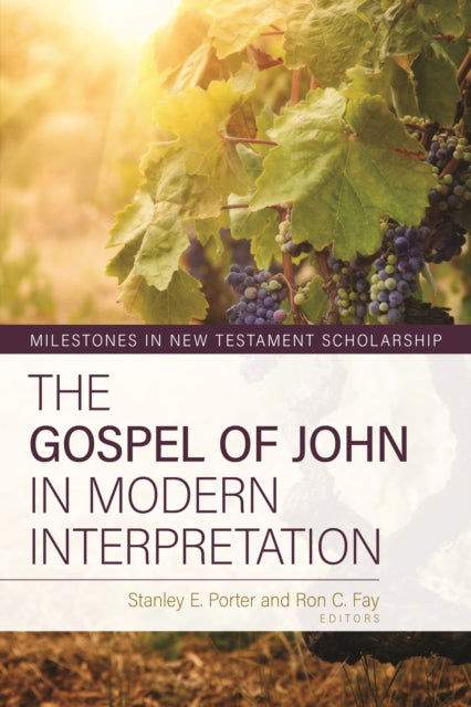 Book cover of: Gospel of John in Modern Interpretation. By: Stanley Porter