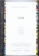 Book cover of: Job. By: Manlio Somonetti