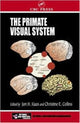 Book cover of: Primate Visual System