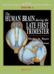 Book cover of: Human Brain During the Late First Trimester. By: Shirley A. Bayer