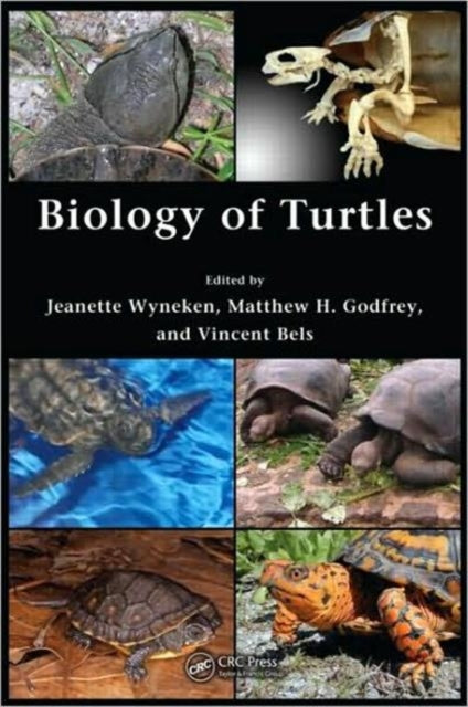 Book cover of: Biology of Turtles