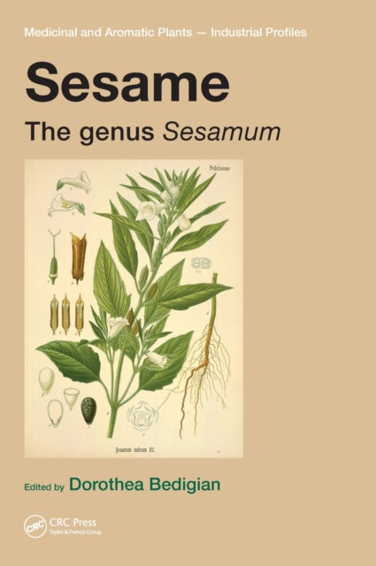 Book cover of: Sesame. By: Dorothea Bedigian