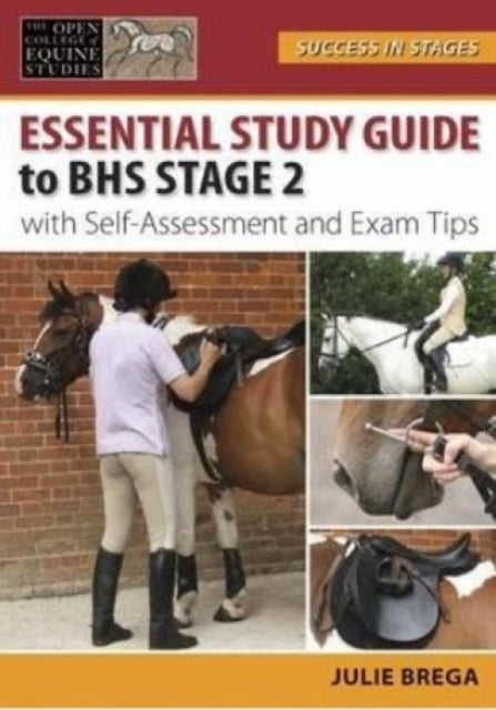 Book cover of: Essential Study Guide to BHS Stage 2. By: Julie Brega