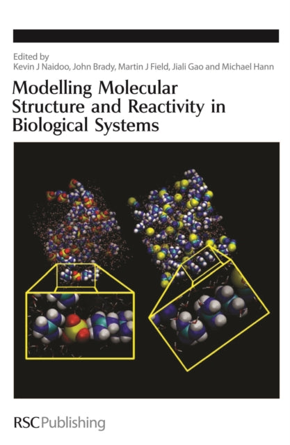 Book cover of: Modelling Molecular Structure and Reactivity in Biological Systems
