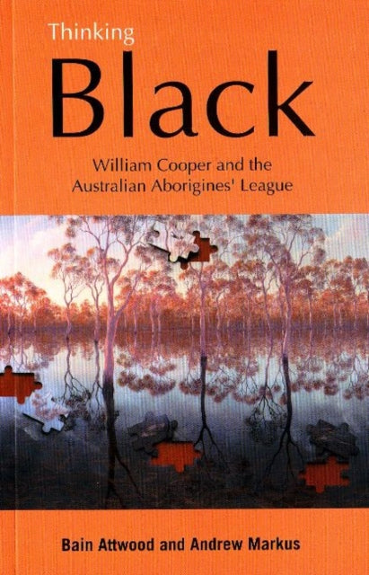 Book cover of: Thinking Black