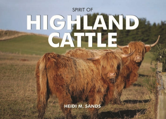 Book cover of: Spirit of Highland Cattle