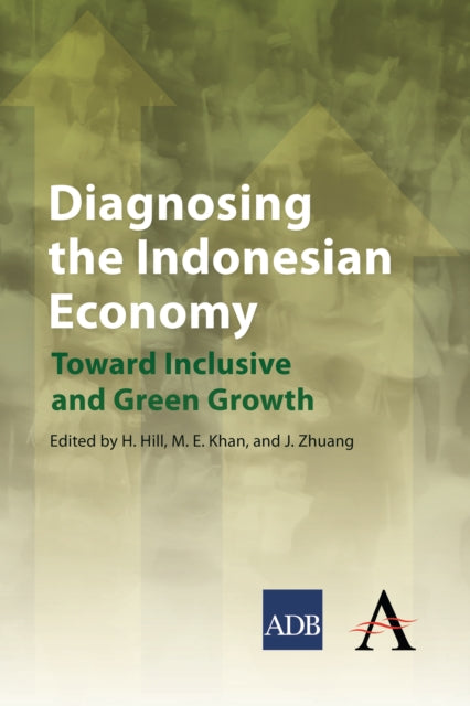 Book cover of: Diagnosing the Indonesian Economy