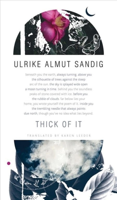 Book cover of: Thick of It. By: Ulrike Almut Sandig
