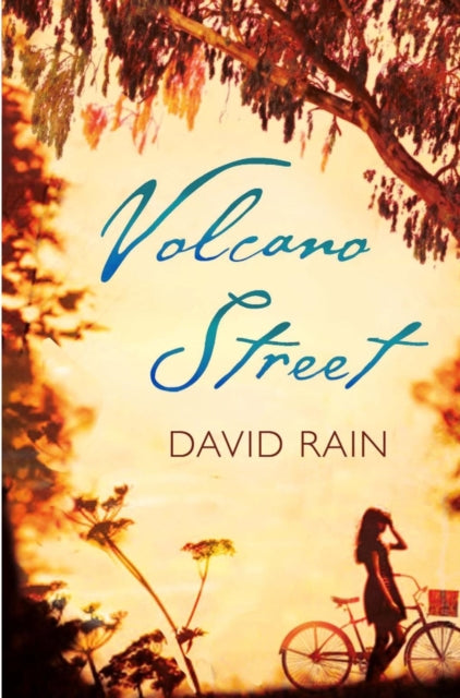 Book cover of: Volcano Street. By: David Rain