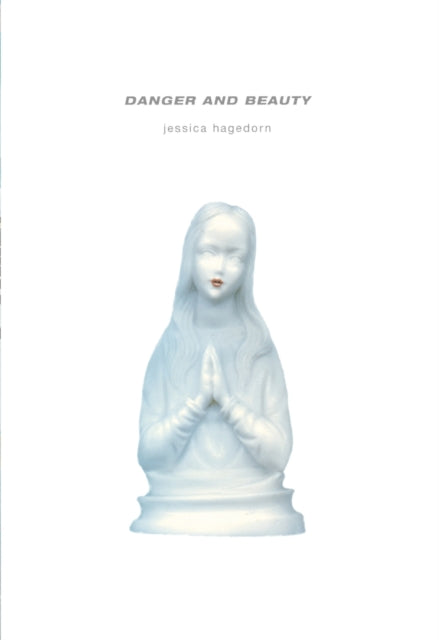 Book cover of: Danger and Beauty