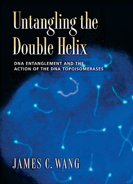 Book cover of: Untangling the Double Helix. By: James C. Wang
