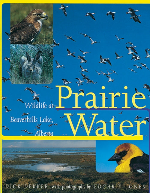 Book cover of: Prairie Water