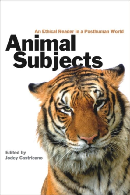 Book cover of: Animal Subjects. By: Carla Jodey Castricano