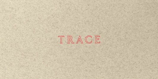 Book cover of: Jenny Holzer: Trace. By: Jenny Holzer