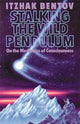 Book cover of: Stalking the Wild Pendulum