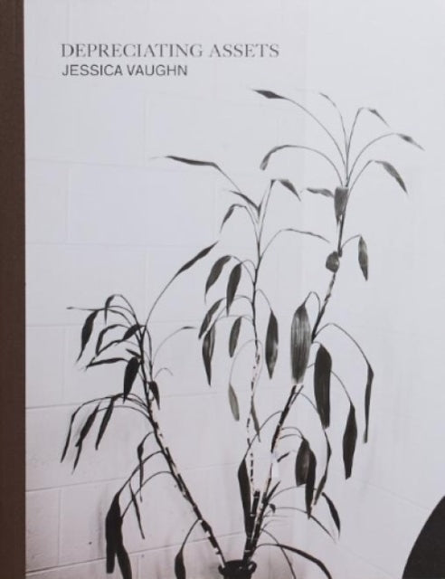 Book cover of: Depreciating Assets