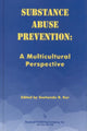Book cover of: Substance Abuse Prevention. By: Snehendu B. Kar