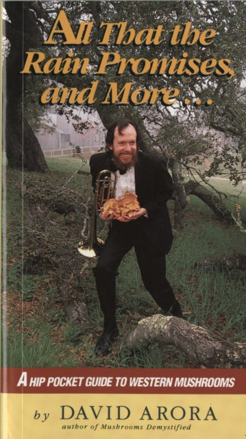 Book cover of: All That the Rain Promises and More. By: David Arora