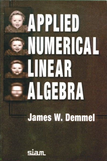 Book cover of: Applied Numerical Linear Algebra