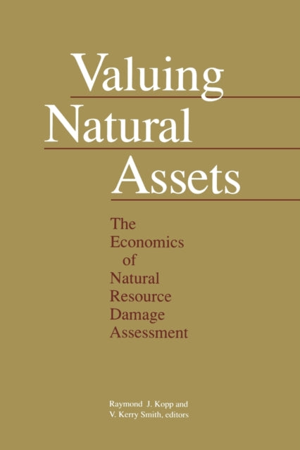 Book cover of: Valuing Natural Assets