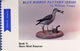 Book cover of: Blue Ribbon Pattern Series
