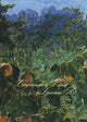 Book cover of: Complementary Visions of Louisiana Art. By: The Historic New Orleans Collection