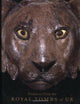 Book cover of: Treasures from the Royal Tombs of Ur