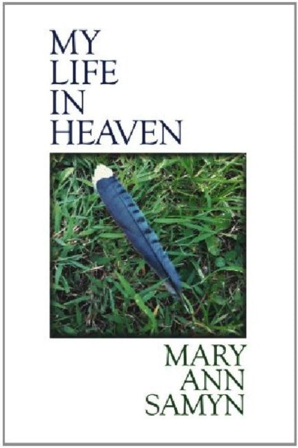Book cover of: My Life in Heaven