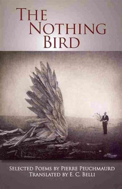 Book cover of: Nothing Bird. By: Pierre Peuchmaurd