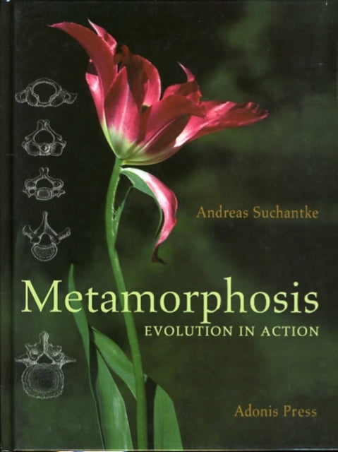 Book cover of: Metamorphosis. By: Andreas Suchantke