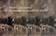 Book cover of: Theme and Variations. By: Anne Leonard