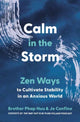 Calm in the Storm, Zen Ways to Cultivate Stability in an Anxious World 9780938077558 Brother Phap Huu
