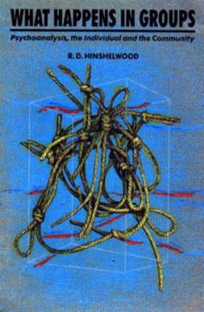Book cover of: What Happens in Groups. By: R. D. Hinshelwood