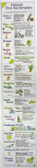 Book cover of: Natural First Aid Remedies Chart
